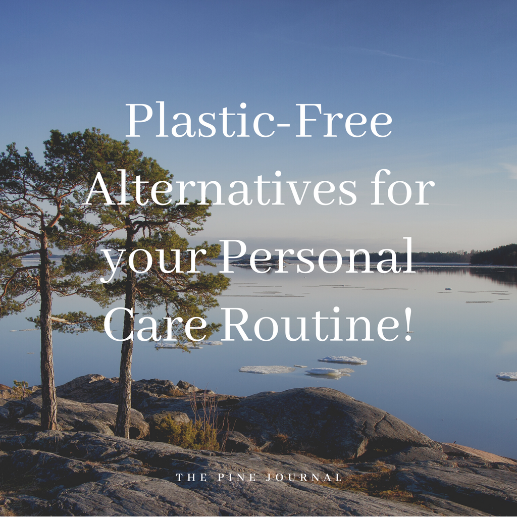 Plastic Free Alternatives for Your Personal Care Routine!