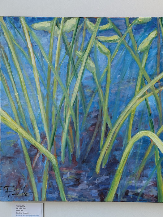 Pauline Jennett Artist