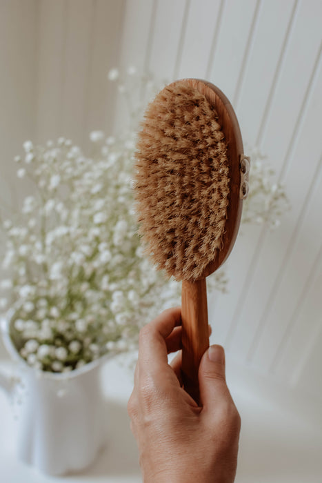 Long Handle Dry Body Brush